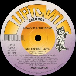Nuttin' But Love (remixes)