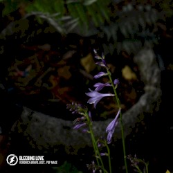 Bleeding Love (acoustic)