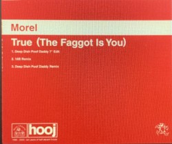 True (The Faggot Is You)