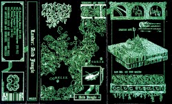 Acid Jungle