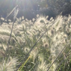 This Path to Yourself