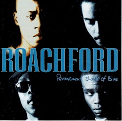 Permanent Shade Of Blue
