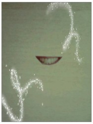 I Fall In Love With The Light