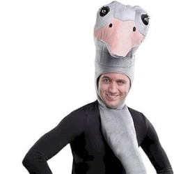 i suppose his head may be in the sand!