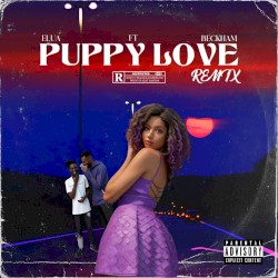 Puppy Love (Compilation)