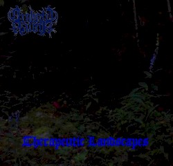 Therapeutic Landscapes