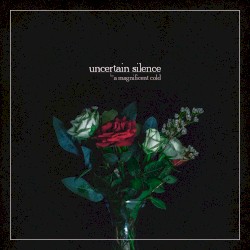 Uncertain Silence