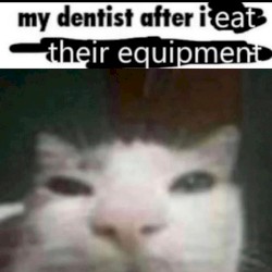 catalytic converter 2