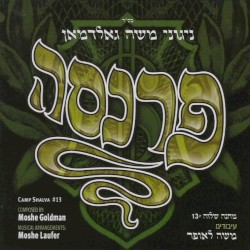 Camp Shalva 13, Parnuseh