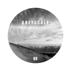 Lark Dub / Fed on Dub