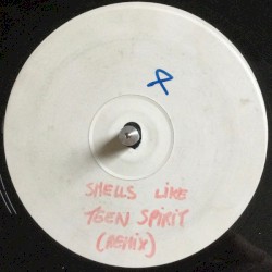 Smells Like Teen Spirit (remix)