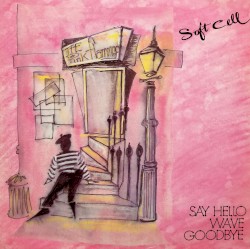 Say Hello Wave Goodbye