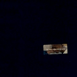 Like You’ll Never See Me Again