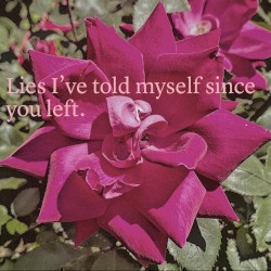 Lies I’ve told myself since you left.
