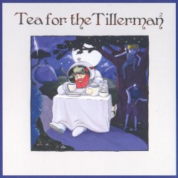 Tea for the Tillerman²