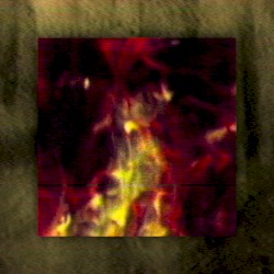 Death Symmetries