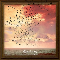 Starlings
