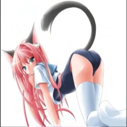 XXVIII: Dō ka, watashi no shippo o mitsumete kudasai