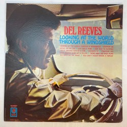 Looking At The World Through A Windshield