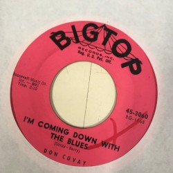 I'm Coming down with the Blues / Hey There