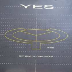 Owner of a Lonely Heart