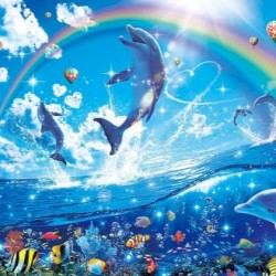 up 😎😝(444jet)#bloom💮