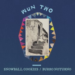 snowball cookie / burro noturno