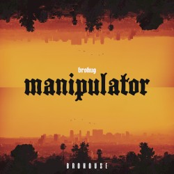 Manipulator