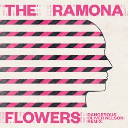 Dangerous (Oliver Nelson remix)