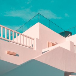 The Need For Purpose & Direction