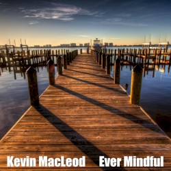 Ever Mindful
