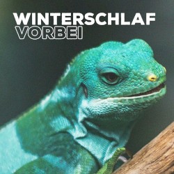 Winterschlaf vorbei