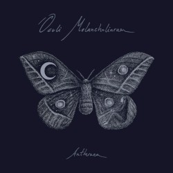 Antheraea