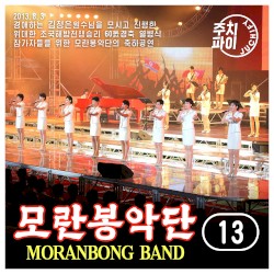 Vol. 13 - Congratulatory Performance for the Participants of the Military Parade Celebrating the 60th Anniversary of the Great Victory in the Fatherland Liberation War (2013.8.3)