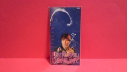 愛さずにいられない / 君が美しすぎて