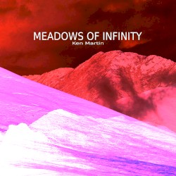 Meadows of Infinity