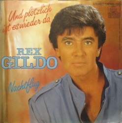 Und plötzlich ist es wieder da / Nachtflug