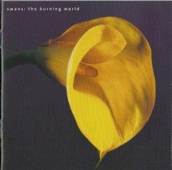 The Burning World