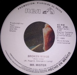 Broken Wings (Alas Rotas)