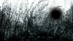 il