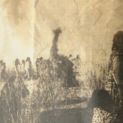 And the Feathered People Walked Through the Fields