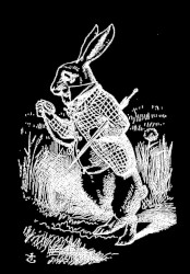 bedtime stories : alice's adventures in wonderland (ASMR): chapter 1