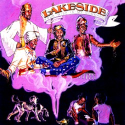 Your Wish Is My Command