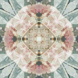 Is Life Truly Beautiful?