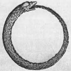 11425