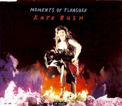 Moments of Pleasure