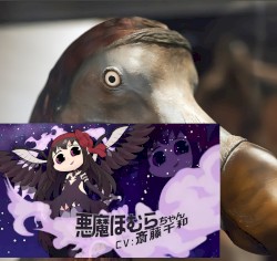 11 Tracks, 36:16, Homuravsdodobird