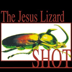 Shot