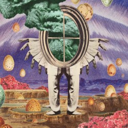 The Gratitude Principle