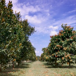 On A Level Playing Field